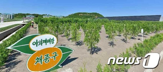(평양 노동신문=뉴스1) = 북한 노동당 기관지 노동신문은 26일 산림복구의 필요성을 강조했다. 신문은 