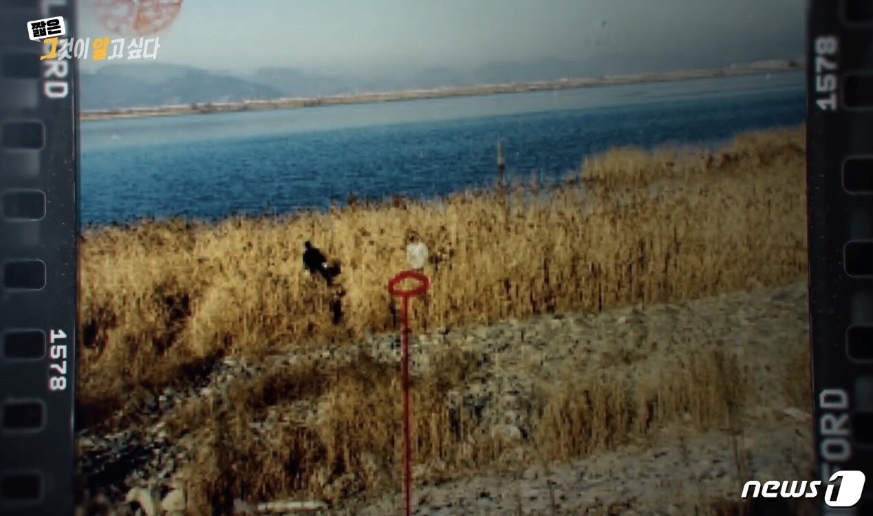본문 이미지 - 지난 2월20일 SBS <그것이 알고싶다> 에 방송된 낙동강변 살인사건 범행 현장.(그것이 알고싶다 방송 캡처)ⓒ 뉴스1