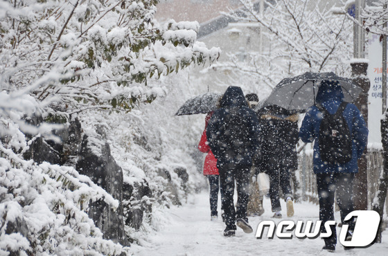 National spring rain metropolitan area up to 100㎜…  Heavy snow warning Gangwon 50cm snow bomb