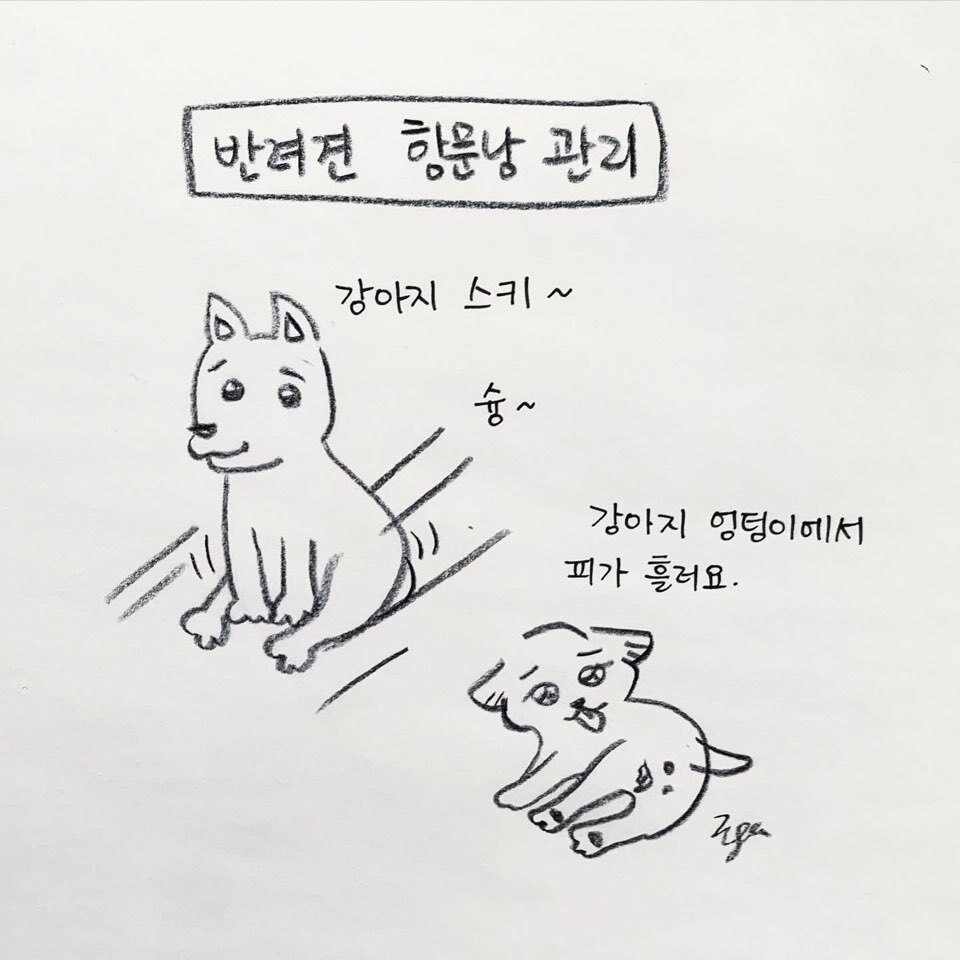 본문 이미지 -  