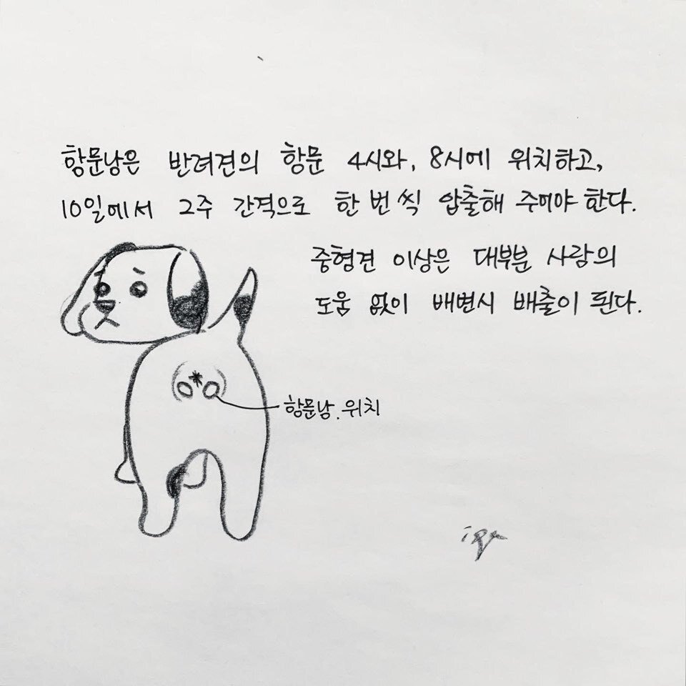 본문 이미지 -  
