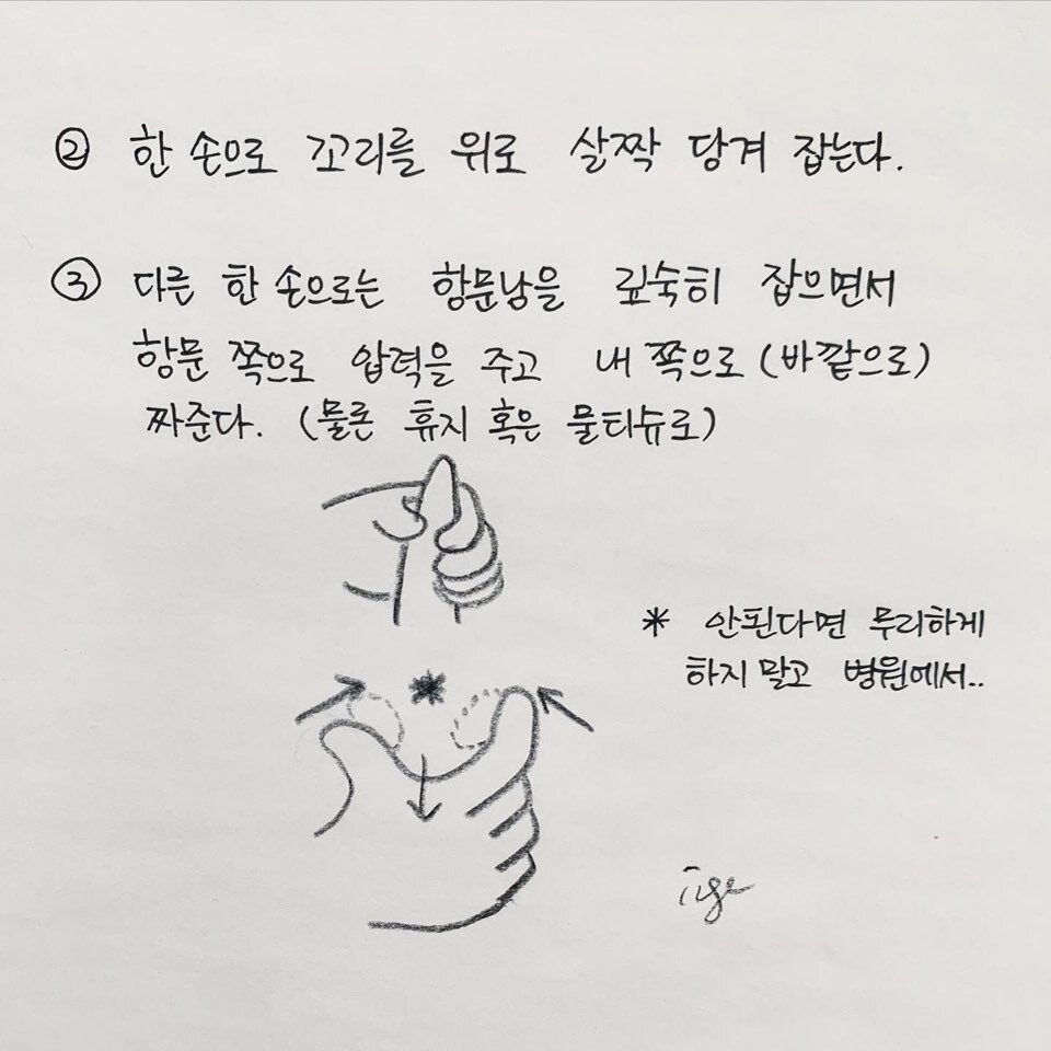 본문 이미지 -  
