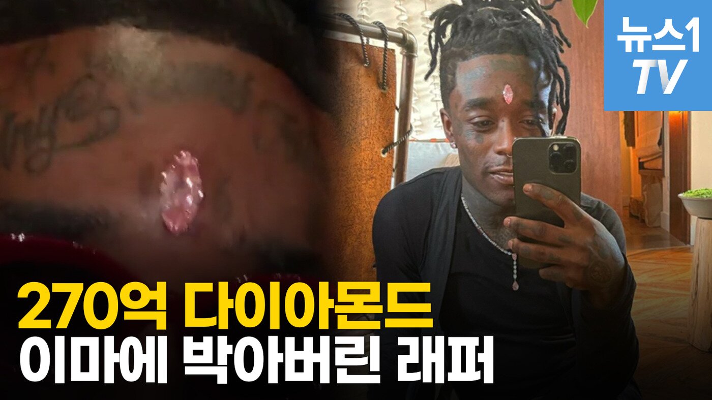 본문 이미지 - ⓒ 뉴스1