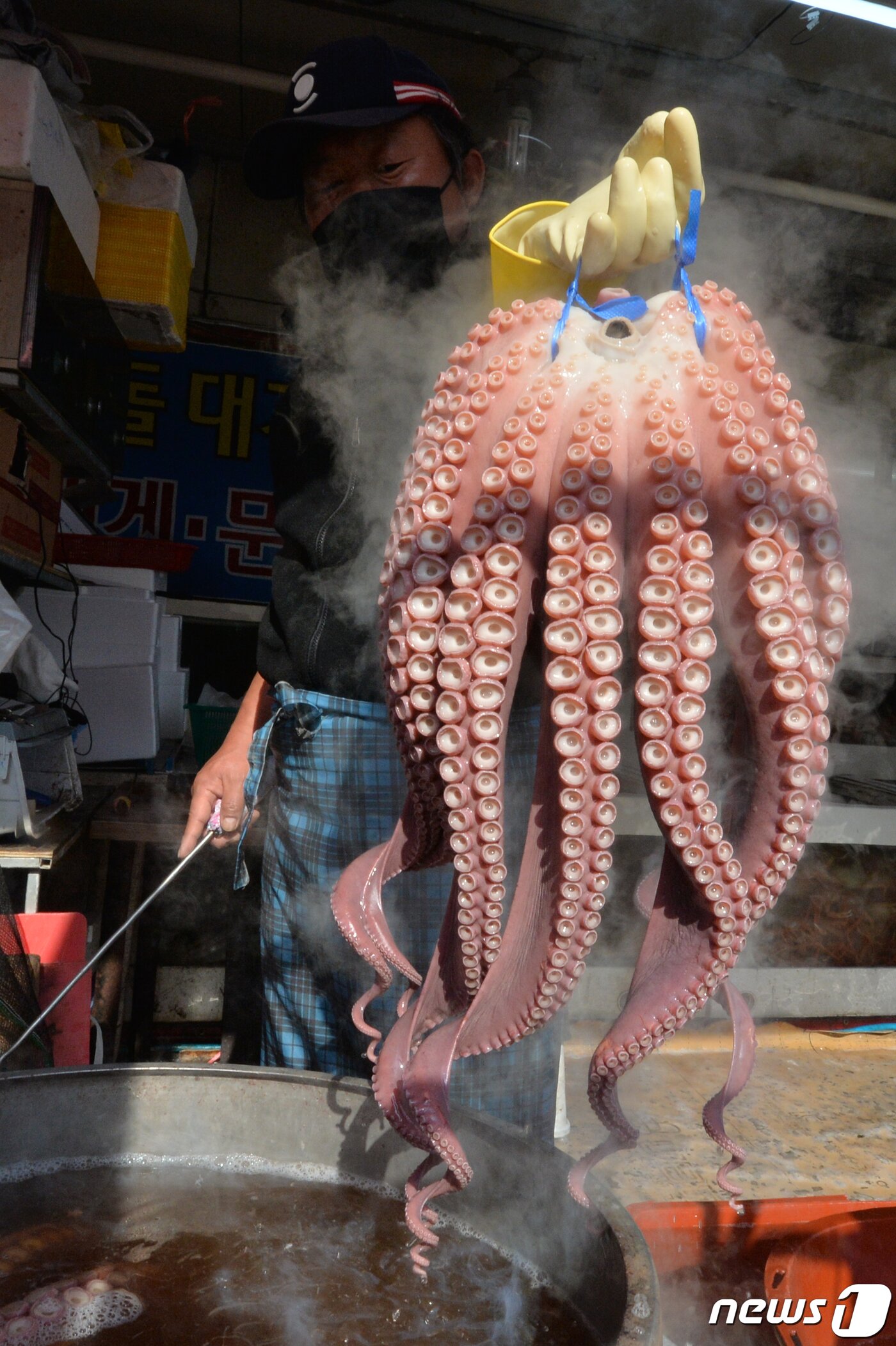 본문 이미지 - 설명절을 앞둔 7일 경북 도내 최대전통시장인 포항죽도시장 어물전에서 문어 상인이 제수용 문어를 삶아내고 있다. 2021.2.7/뉴스1 ⓒ News1 최창호 기자
