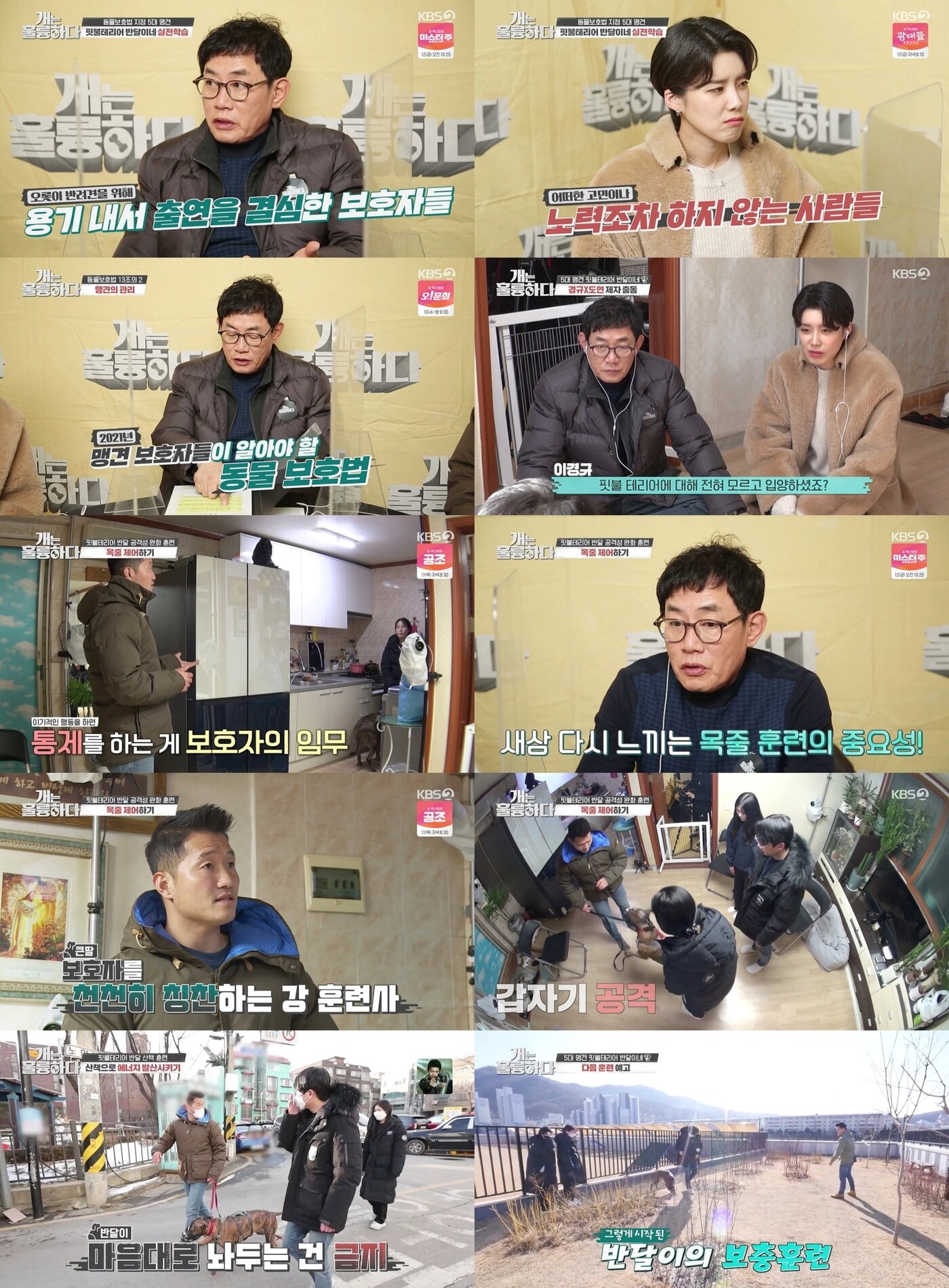 본문 이미지 - 사진 개는 훌륭하다 제공 ⓒ 뉴스1