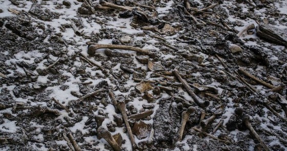 호수에서 발견된 유골들 - BBC 갈무리