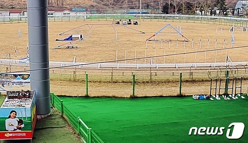 본문 이미지 - 전남 진도군 진도개테마파크 어질리티 공연장 전경 ⓒ 뉴스1 최서윤 기자