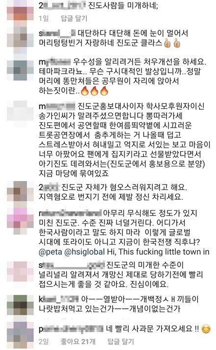 본문 이미지 - 사진 진도군 인스타그램 댓글 갈무리 ⓒ 뉴스1