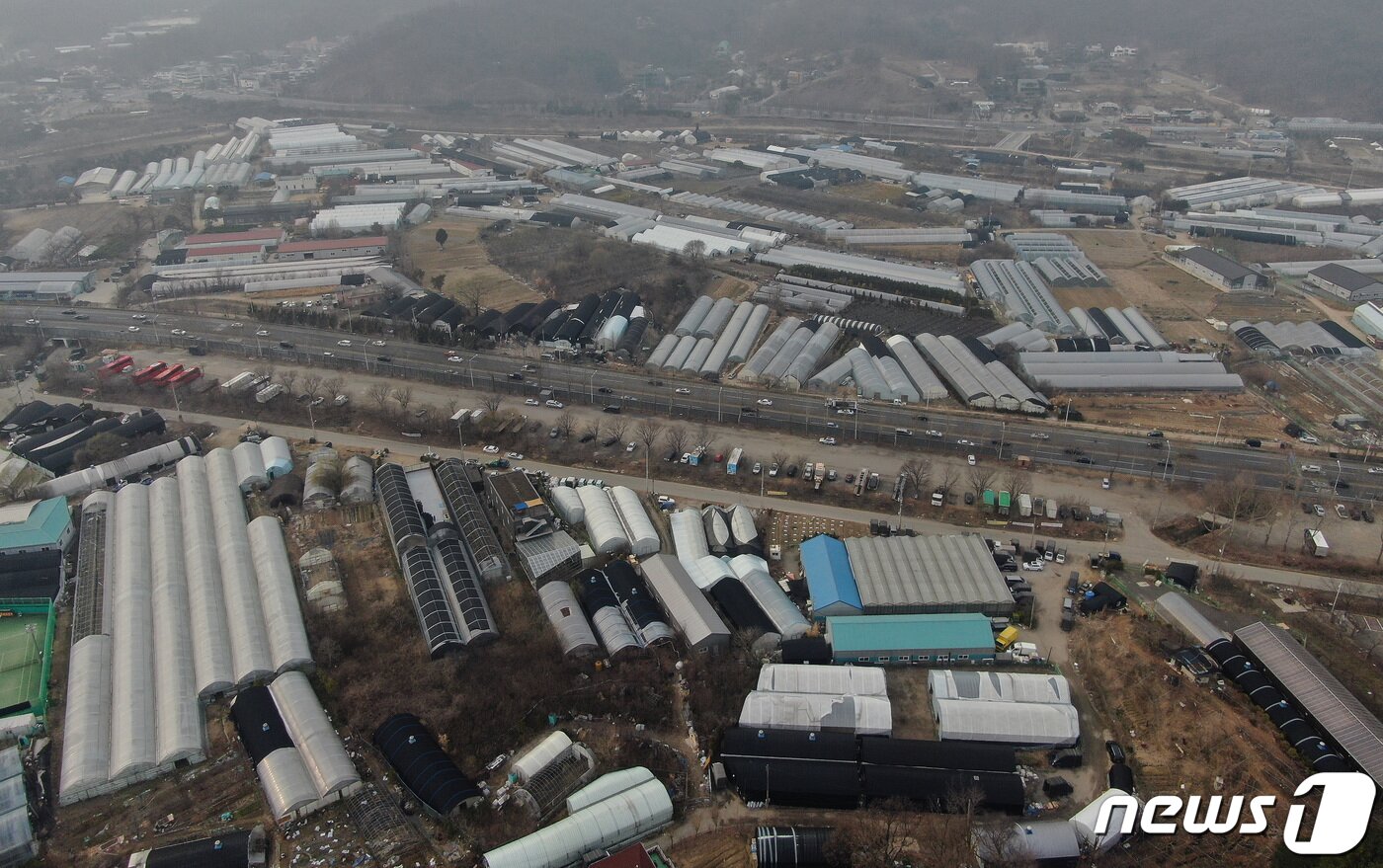본문 이미지 -  경기도 과천 지구. ⓒ 뉴스1