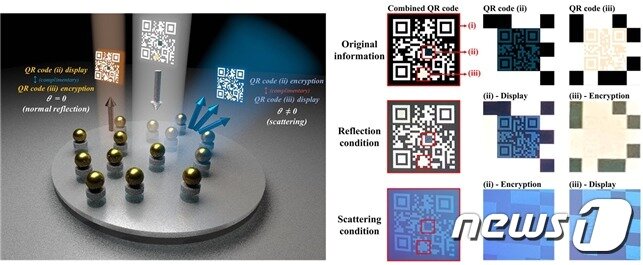 본문 이미지 - 반사색-산란색 상보적 QR-코드 암호화 시스템 응용 원리 모식도((제공:서울대 박남규 교수)ⓒ 뉴스1