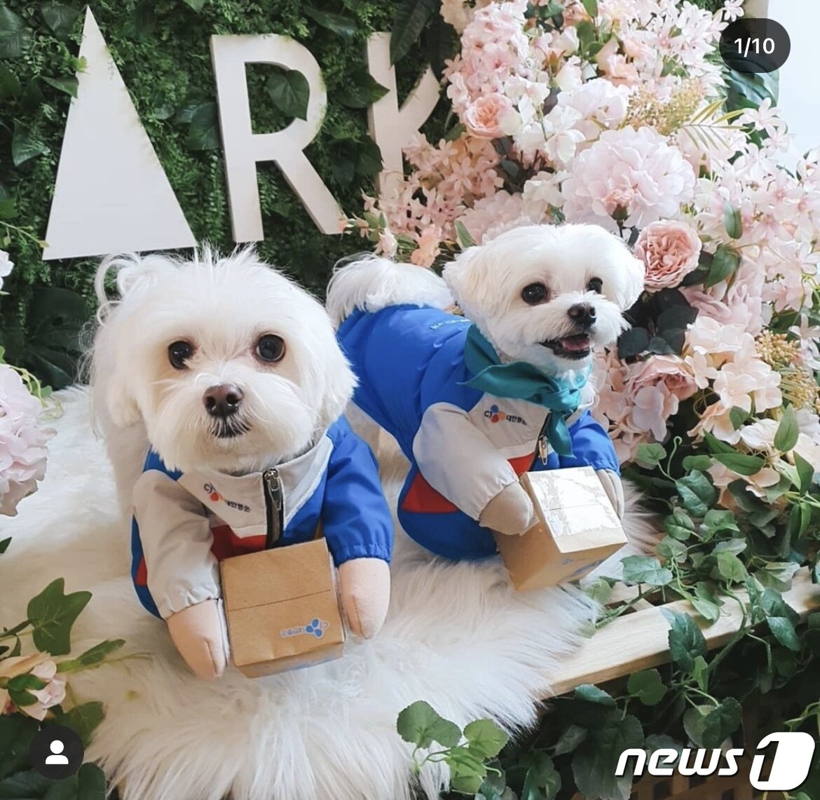 본문 이미지 - 경태와 광복이 사진 박성광 인스타그램ⓒ 뉴스1