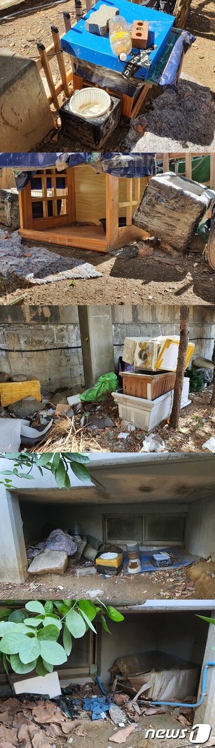 본문 이미지 - 서울 한 아파트 단지 내에 설치된 길고양이 집과 급식소. 지저분하고 사람들이 다니는 통로 옆에 설치해서 민원이 제기됐다. ⓒ 뉴스1 최서윤 기자