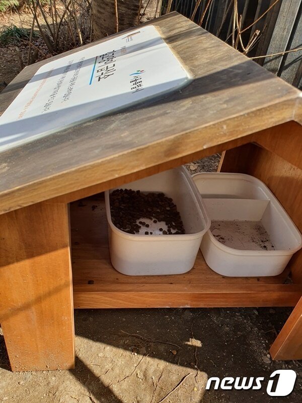 본문 이미지 - 경의선 숲길에 설치된 길고양이급식소. 서울시가 급식소를 제공하면 관리는 지정된 캣맘이 한다. ⓒ 뉴스1 최서윤 기자