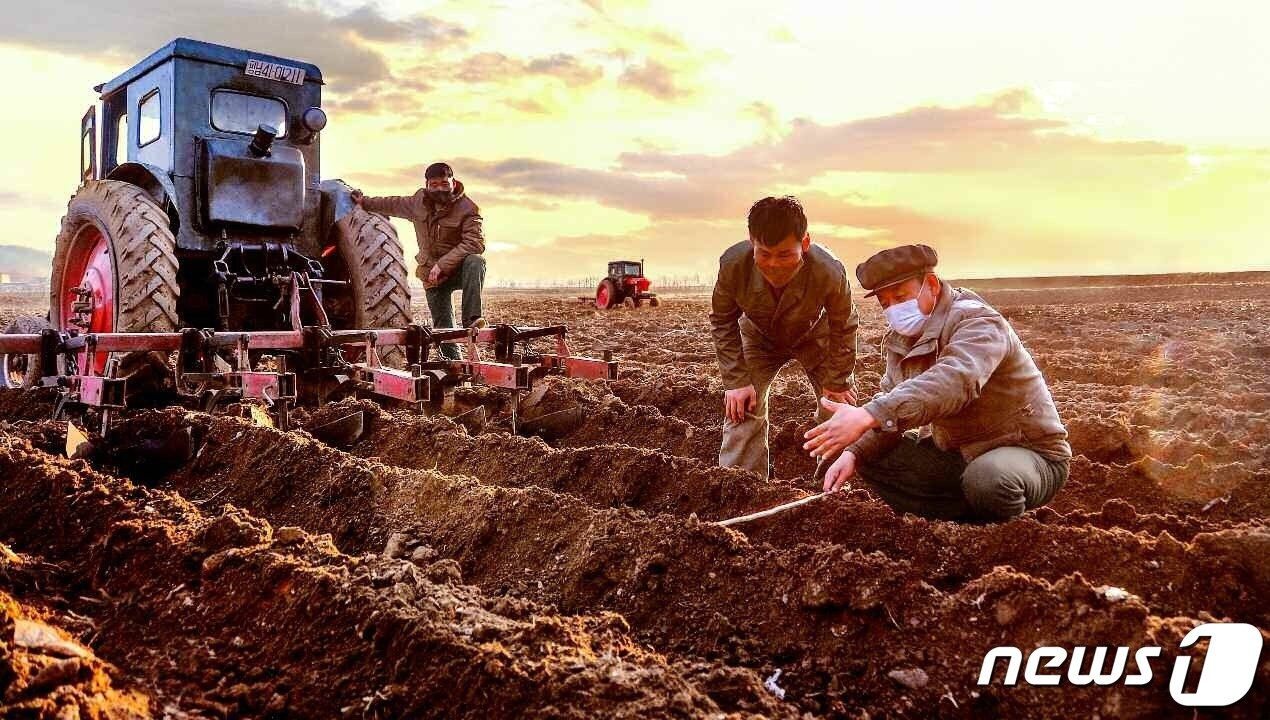 본문 이미지 - (평양 노동신문=뉴스1) = 북한 노동당 기관지 노동신문은 26일 저수확지 농사의 증산에 올해 당 대회 결정 중 하나인 농업 생산 증대의 열쇠가 있다고 강조했다.사진은 평성시 삼화남새전문협동농장의 모습. [국내에서만 사용가능. 재배포 금지. DB 금지. For Use Only in the Republic of Korea. Redistribution Prohibited] rodongphoto@news1.kr