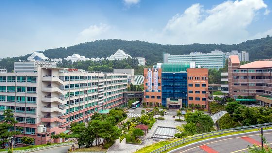 조선이공대 재학생들 17일 한국인터넷진흥원 탐방행사