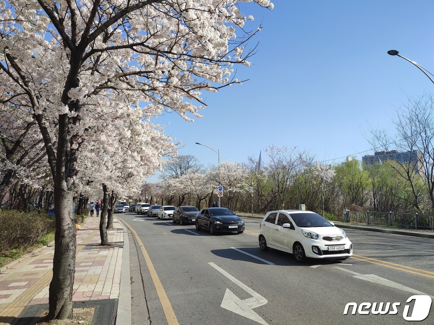 본문 이미지 - 샤오미 홍미노트10 프로는 1억800만화소의 메인카메를 포함한 쿼드 카메라를 탑재했다. ⓒ 뉴스1