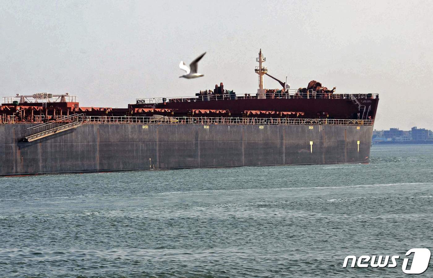 본문 이미지 - 30일&#40;현지시간&#41; 좌초됐던 초대형 컨테이너선 에버 기븐호의 부양으로 통행이 재개된 이집트 수에즈 운하에서 선박이 운항을 하고 있다. ⓒ AFP=뉴스1 ⓒ News1 우동명 기자