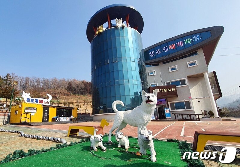 본문 이미지 - 전남 진도군 진도개(진돗개)테마파크 전경. ⓒ 뉴스1 최서윤 기자