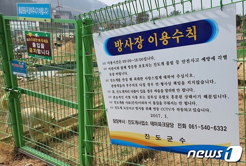 본문 이미지 - 전남 진도군 진도개테마파크 내 진돗개 방사장 ⓒ 뉴스1 최서윤 기자