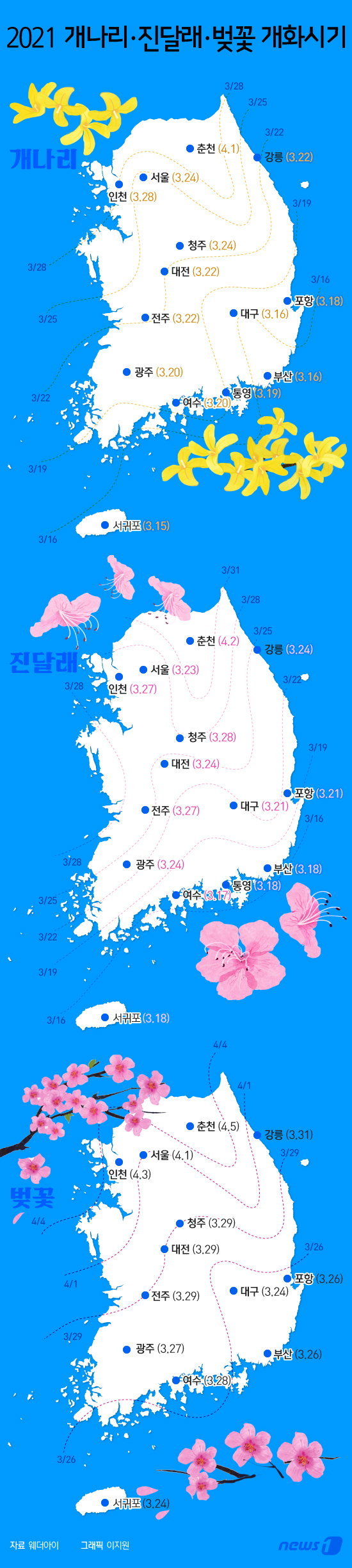 [그래픽뉴스] 올해 개나리·진달래·벚꽃 개화시기