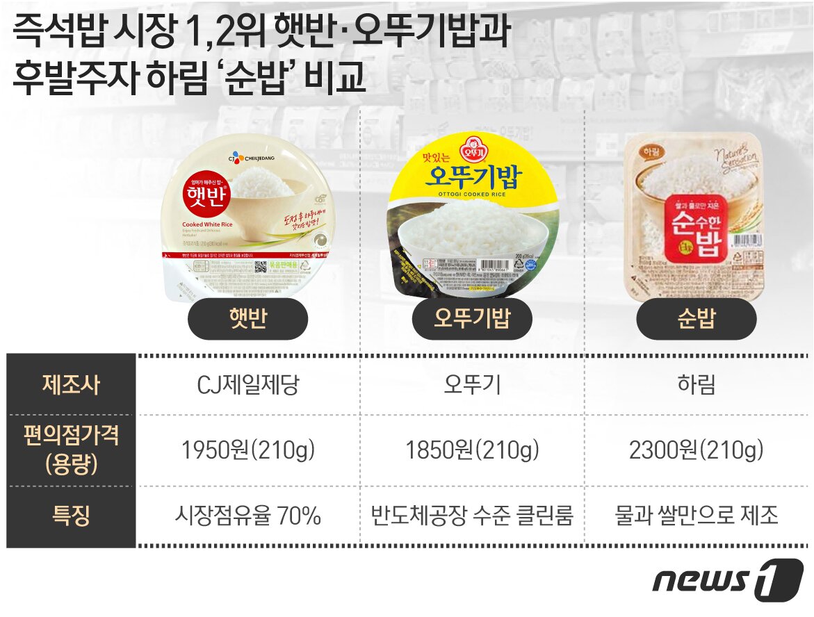 본문 이미지 - ⓒ News1 최수아 디자이너