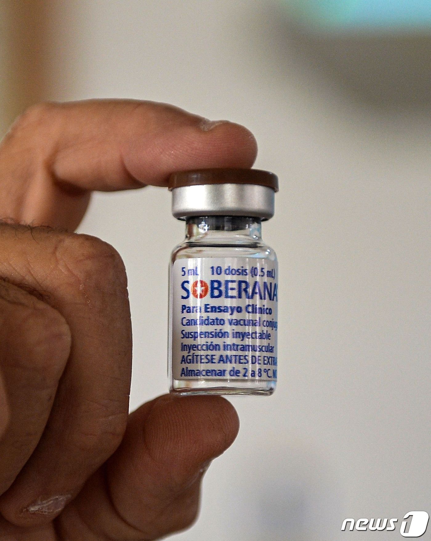 본문 이미지 - 쿠바 핀라이 백신연구소가 개발 중인 '소베라나2' 코로나19 백신. ⓒ AFP=뉴스1 ⓒ News1 최서윤 기자