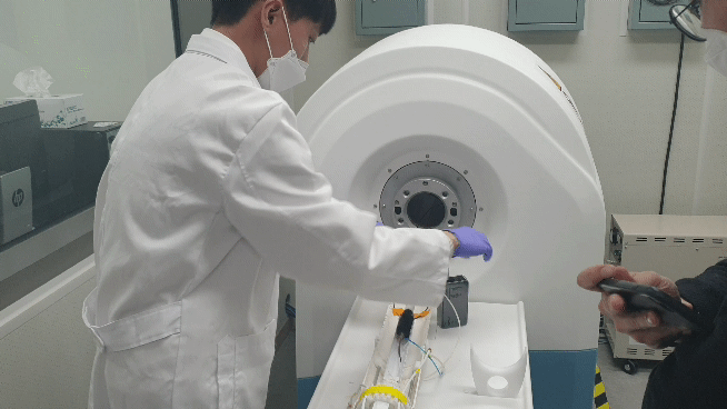 본문 이미지 - 강성휘 기초과학연구원(IBS) 나노의학연구단 연구원이 쥐의 자기공명영상(MRI)을 촬영하기 위해, 마취한 쥐(검은 색 물체)를 준비하고 있다 2021.03.08 ⓒ 뉴스1 김승준 기자