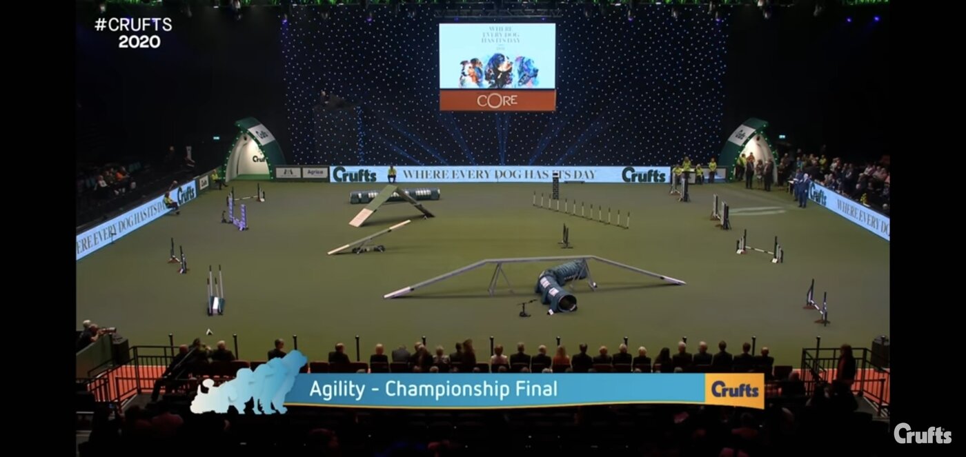 본문 이미지 - 사진 영국 크러프츠 도그쇼 유튜브 화면 갈무리 ⓒ 뉴스1