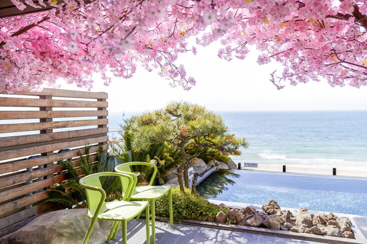 본문 이미지 - 파라다이스호텔 부산 '봄꽃스파'ⓒ 뉴스1