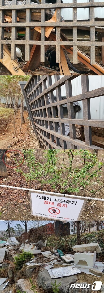 본문 이미지 - 3월 29일 경의선숲길 2군데에 쓰레기처럼 보이는 길고양이 집과 급식소가 있다. ⓒ 뉴스1 최서윤 기자