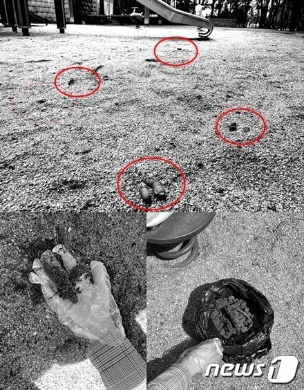 본문 이미지 - 3월 29일 서울의 한 아파트에 있는 어린이놀이터. 놀이터 양쪽으로 길고양이 집이 설치돼 있고 모래에서 배설하는 고양이들의 특성상 변이 꽤 많았다. ⓒ 뉴스1 최서윤 기자