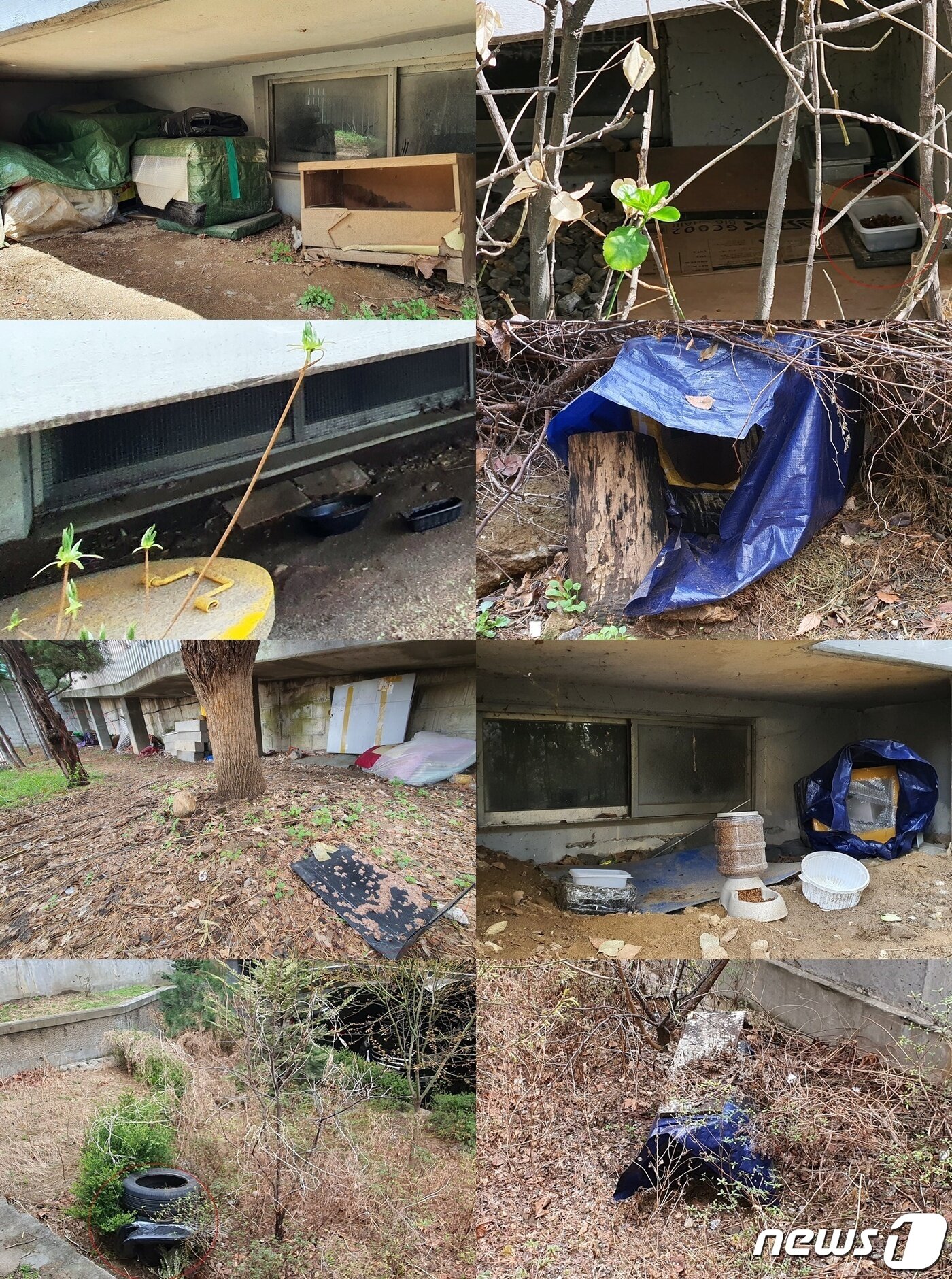 본문 이미지 - 3월 29일 서울의 한 아파트에 설치된 길고양이집과 급식소. 이 사진 속 집만 세어봐도 10개가 족히 넘는다. ⓒ 뉴스1 최서윤 기자