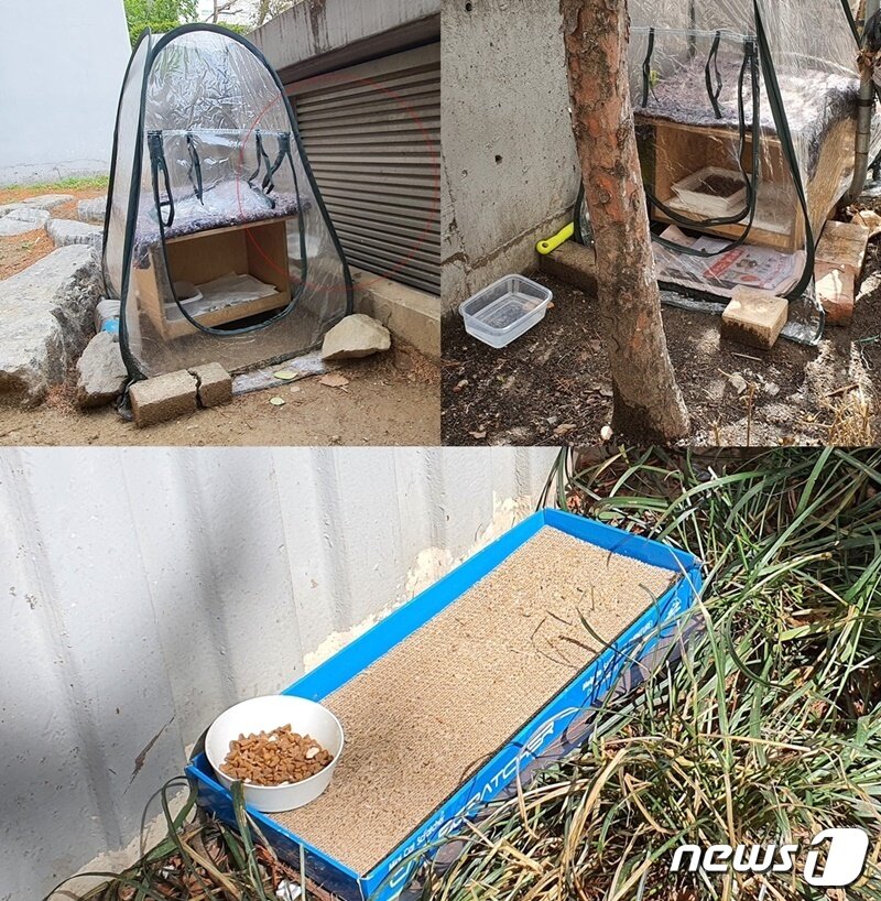 본문 이미지 - 3월 29일 서울의 한 아파트에 설치된 길고양이 집과 급식소. 같은 단지 내 다른 고양이집보다 깨끗하다. 다만 첫 번째 사진은 통풍을 필요로 하는 시설물 앞에 놓여 있어서 집을 옮기는 것이 필요해보인다. ⓒ 뉴스1 최서윤 기자