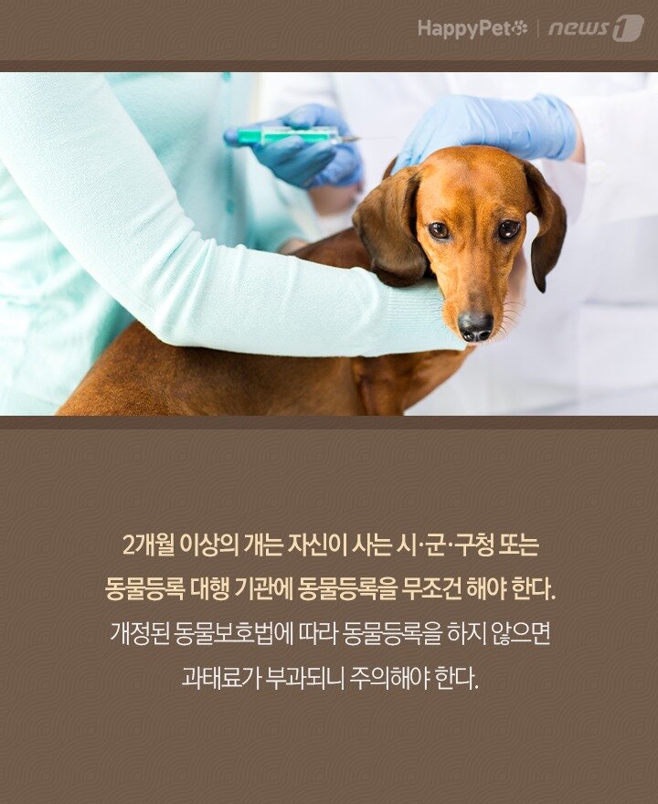 본문 이미지 -  