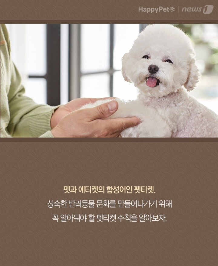 본문 이미지 -  