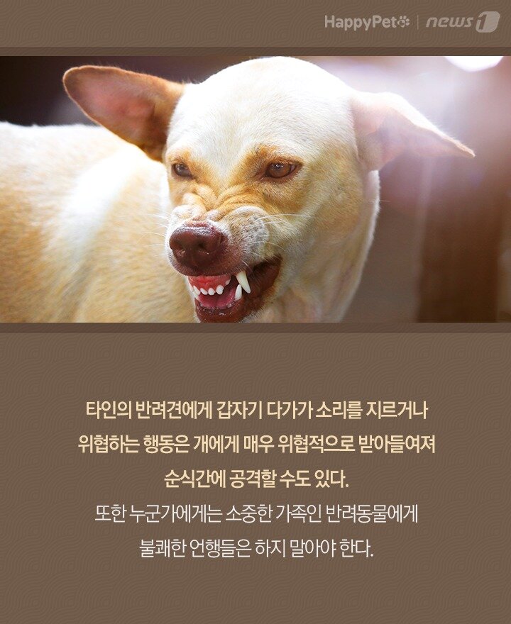 본문 이미지 -  