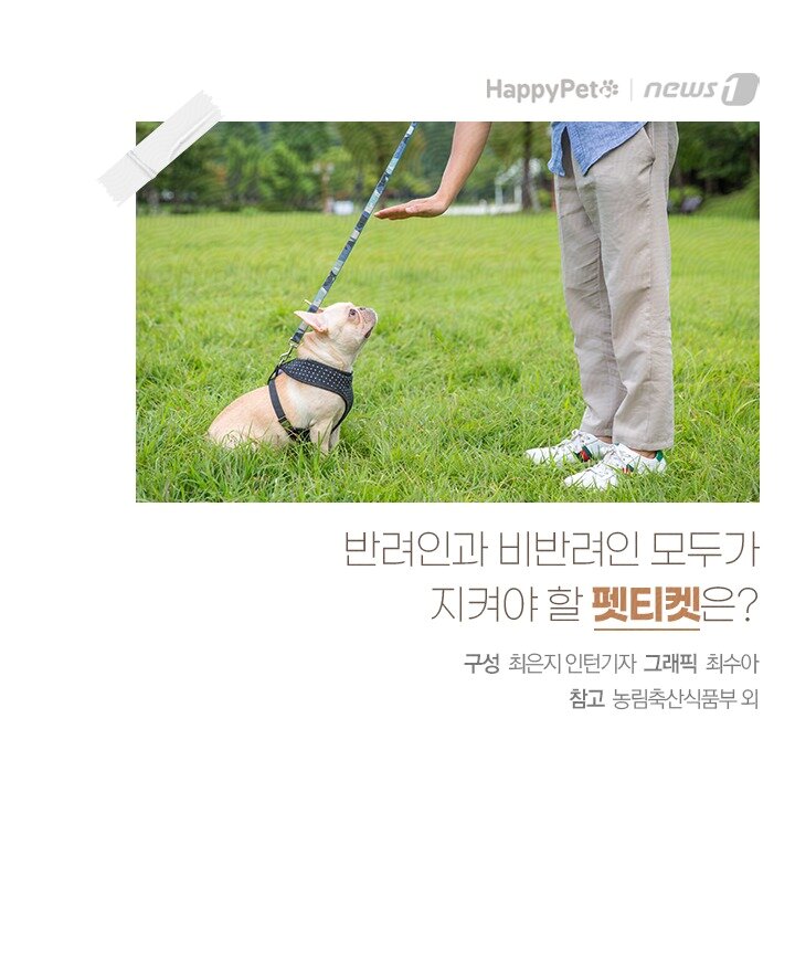 본문 이미지 -  