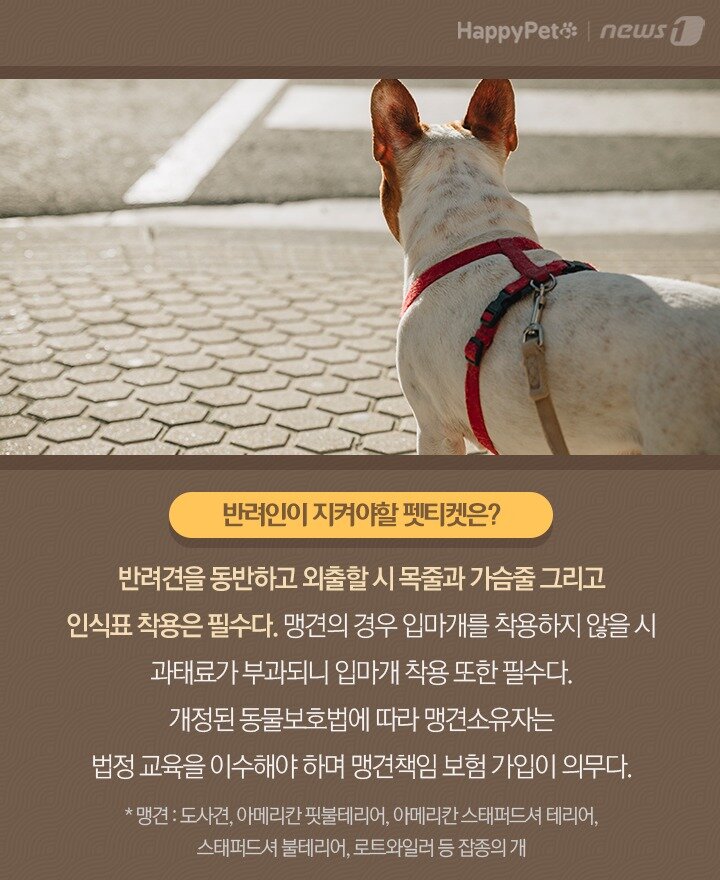 본문 이미지 -  