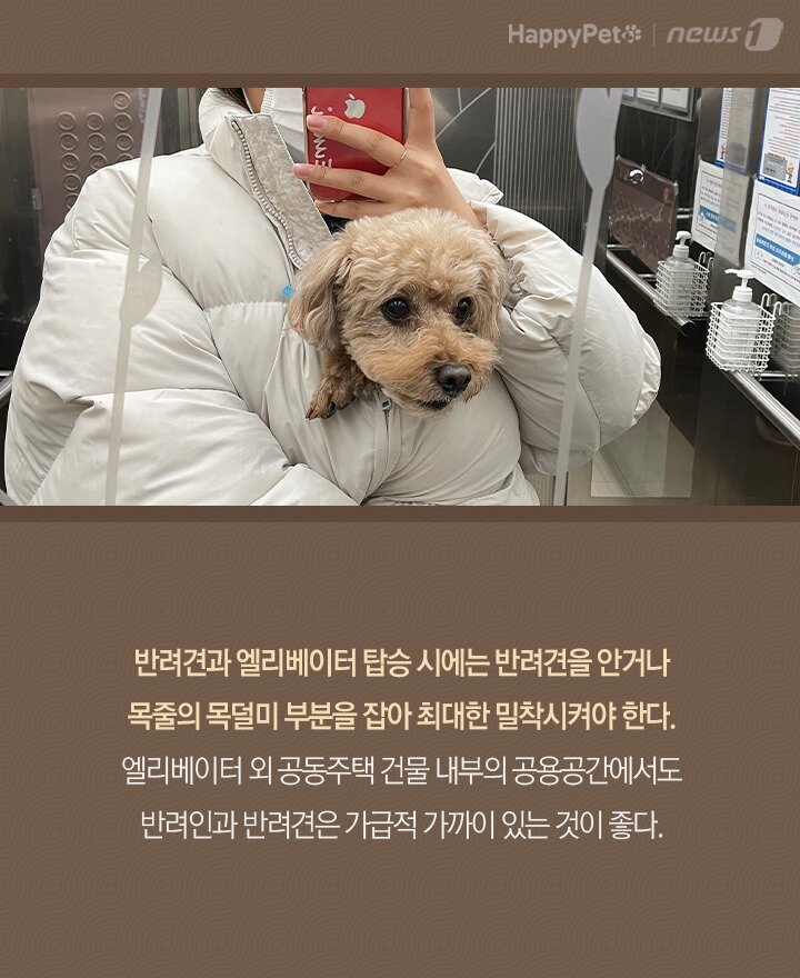 본문 이미지 -  
