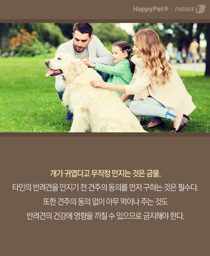 본문 이미지 -  