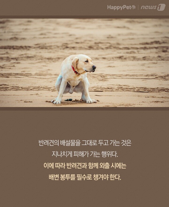 본문 이미지 -  
