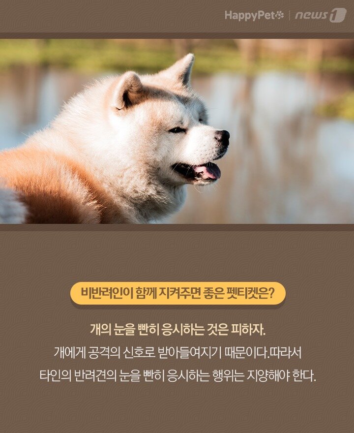 본문 이미지 -  