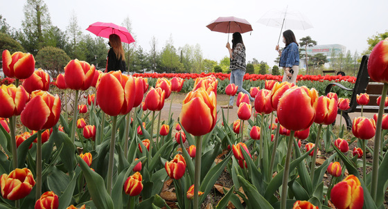 [오늘의 날씨] 대전·충남(30일, 월)…오후부터 '비'