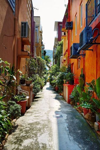 본문 이미지 - 섹오 빌리지의 골목 풍경. 홍콩관광청 제공