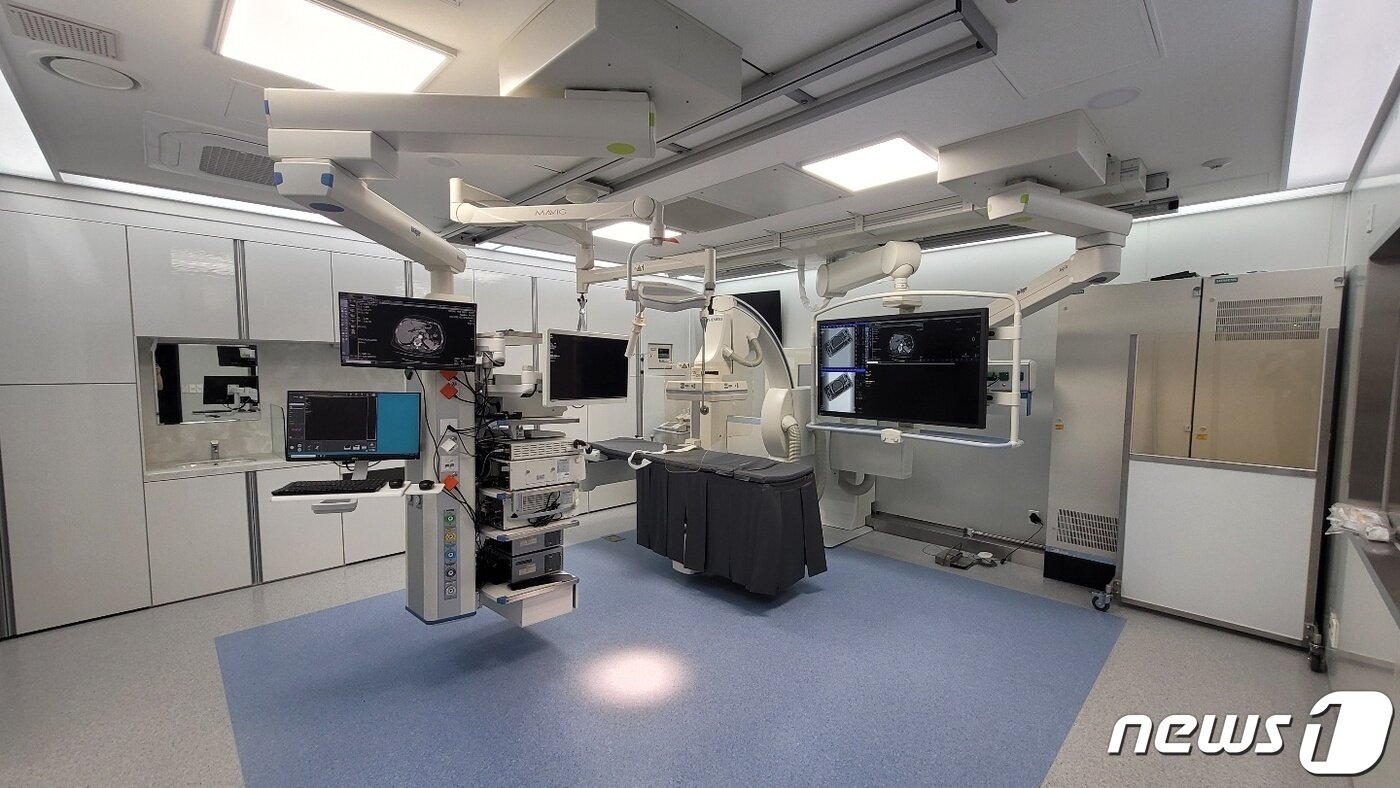 본문 이미지 - ⓒ 뉴스1