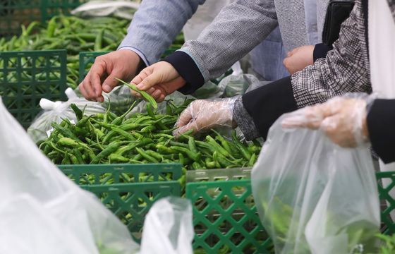 "광주 도매시장·대형마트 유통 농산물 4316건 중 98% 적합"