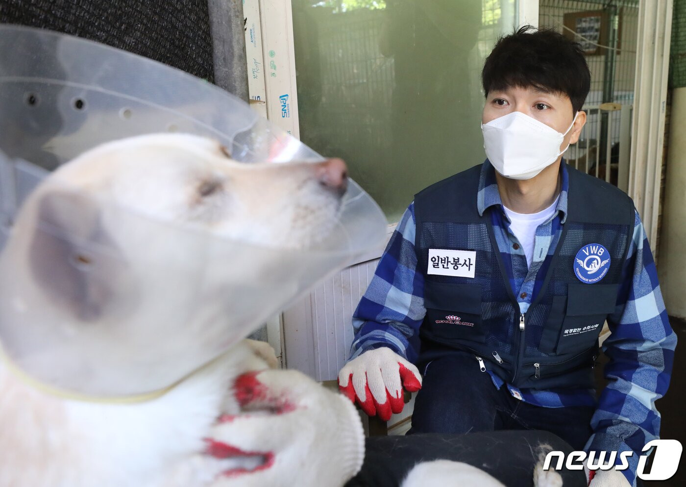 본문 이미지 - 박수홍/뉴스1 ⓒ News1 DB