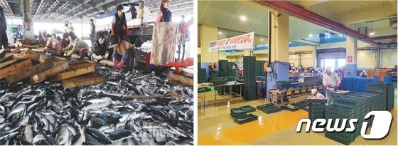 수산물 유통단계 위생안전체계 구축사업 전(왼쪽)·후(해양수산부 제공)© 뉴스1