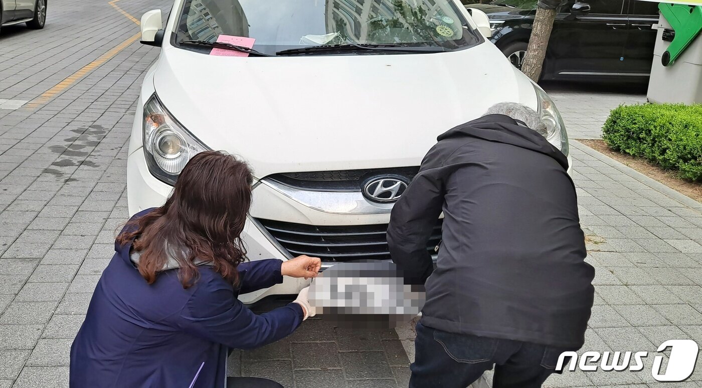 본문 이미지 - 진천군이 체납차량 번호판을 영치하고 있다.(진천군 제공)ⓒ 뉴스1