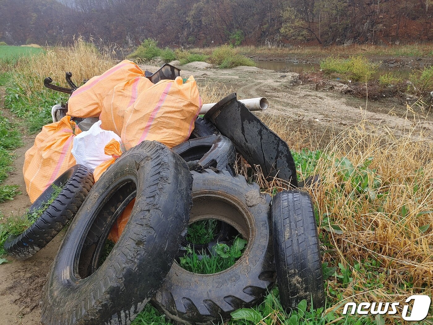 본문 이미지 - 충북 옥천의 서화천 변에서 수거한 각종 폐기물. ⓒ 뉴스1